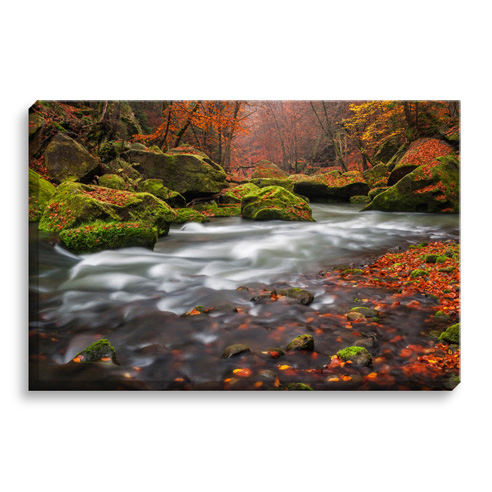 20x30 Stretched Image Wrap