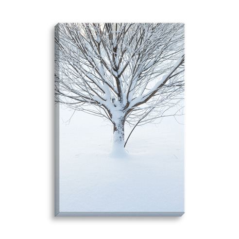 8x12 Stretched Image Wrap