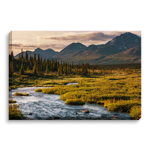 8x12 Stretched Image Wrap